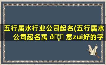 五行属水行业公司起名(五行属水公司起名寓 🦋 意zui
好的字)